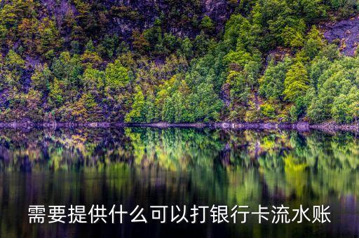 需要提供什么可以打銀行卡流水賬