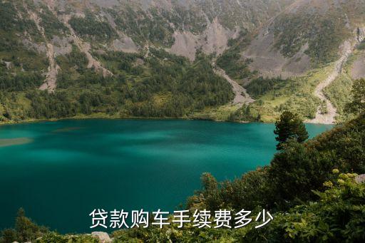 貸款車買賣手續(xù)費(fèi)是多少錢，貸款購(gòu)車手續(xù)費(fèi)多少