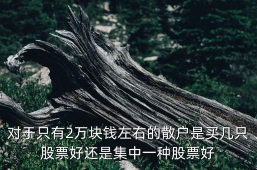 對于只有2萬塊錢左右的散戶是買幾只股票好還是集中一種股票好