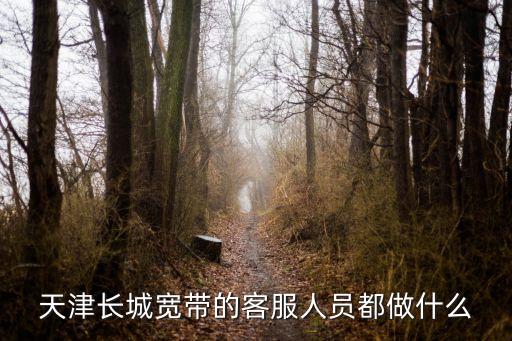 天津長城寬帶的客服人員都做什么