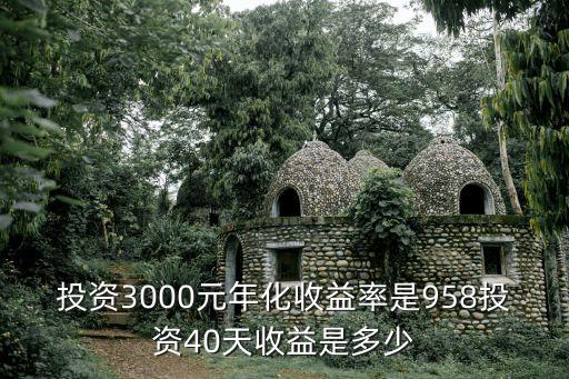 投資3000元年化收益率是958投資40天收益是多少