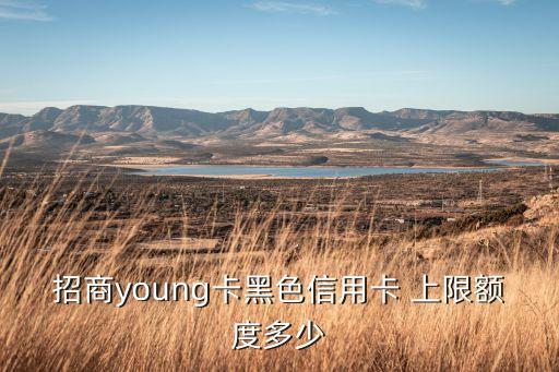 招商young卡黑色信用卡 上限額度多少