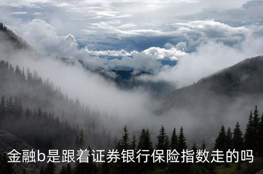 金融b是跟著證券銀行保險指數(shù)走的嗎