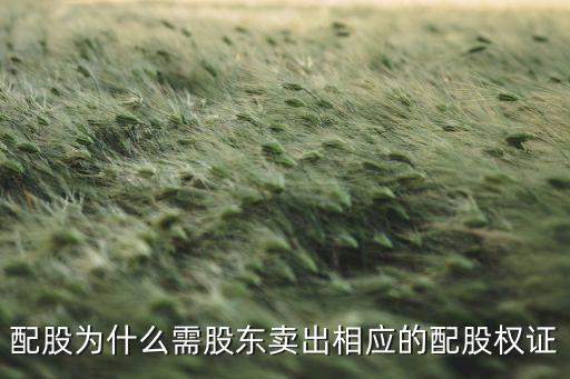 配股為什么需股東賣出相應(yīng)的配股權(quán)證