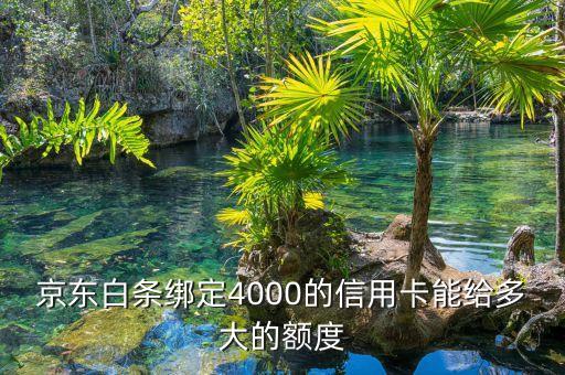 京東白條綁定4000的信用卡能給多大的額度