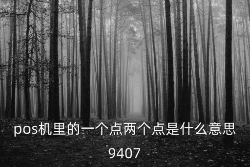 pos機(jī)里的一個(gè)點(diǎn)兩個(gè)點(diǎn)是什么意思9407