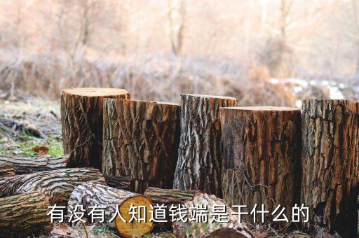 有沒(méi)有人知道錢(qián)端是干什么的
