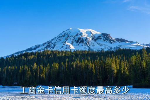 工行額度 最高額度是多少，工商金卡信用卡額度最高多少