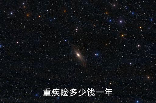 重疾險(xiǎn)多少錢一年