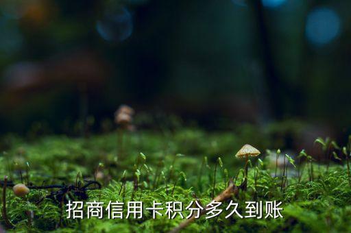 招商信用卡積分多久到賬