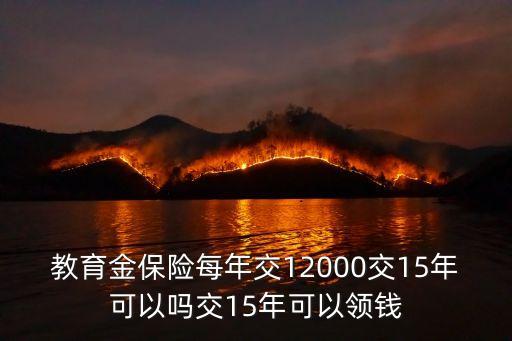 教育金保險(xiǎn)每年交12000交15年可以嗎交15年可以領(lǐng)錢