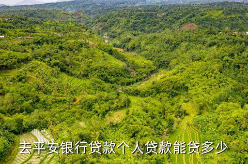 去平安銀行貸款個(gè)人貸款能貸多少