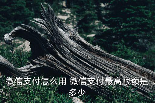 微信支付怎么用 微信支付最高限額是多少