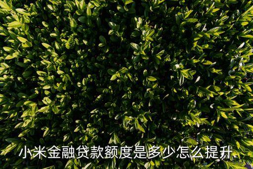 小米金融貸款額度是多少怎么提升