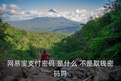 網(wǎng)易寶支付密碼 是什么 不是取錢密碼嗎