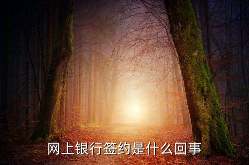 簽約電子銀行是什么，什么是網(wǎng)銀簽約