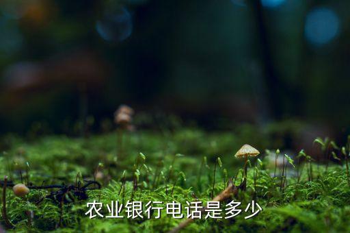 農(nóng)業(yè)銀行電話是多少