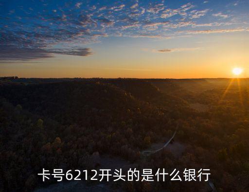 卡號(hào)6212開頭的是什么銀行
