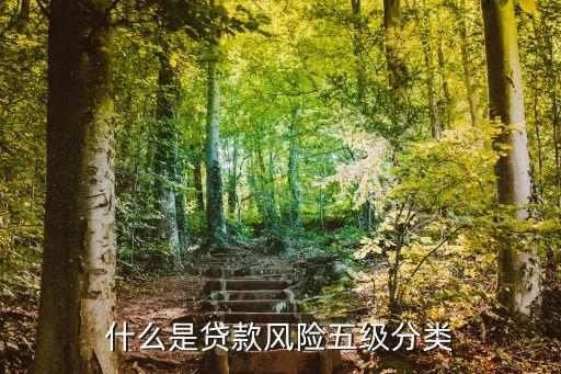 什么是貸款風(fēng)險(xiǎn)五級分類