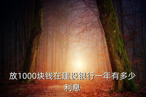 放1000塊錢在建設(shè)銀行一年有多少利息