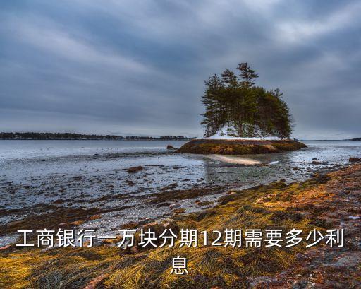 分期12期利率是多少，工商銀行一萬塊分期12期需要多少利息
