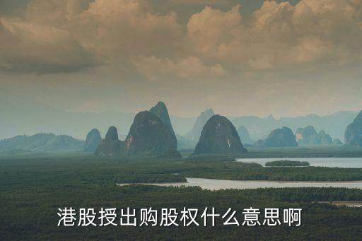 港股授出購(gòu)股權(quán)什么意思啊