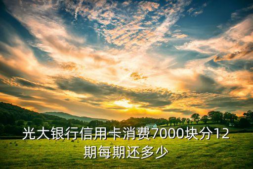 光大銀行信用卡消費(fèi)7000塊分12期每期還多少