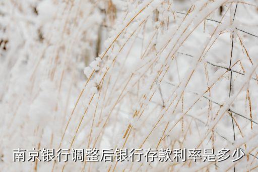 南京銀行調(diào)整后銀行存款利率是多少