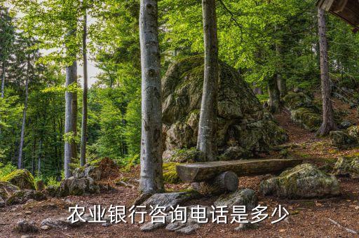 農(nóng)業(yè)銀行金湖支行電話是多少錢，農(nóng)業(yè)銀行咨詢電話是多少