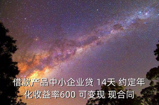 借款產(chǎn)品中小企業(yè)貸 14天 約定年化收益率600 可變現(xiàn) 現(xiàn)合同