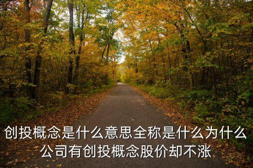 創(chuàng)投什么意思，創(chuàng)投概念是什么意思