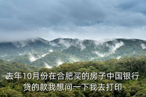 去年10月份在合肥買(mǎi)的房子中國(guó)銀行貸的款我想問(wèn)一下我去打印