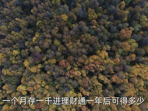一個(gè)月存一千進(jìn)理財(cái)通一年后可得多少
