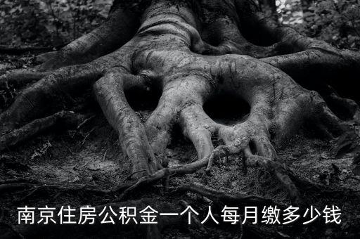 南京住房公積金多少，南京住房公積金一個(gè)人每月繳多少錢(qián)