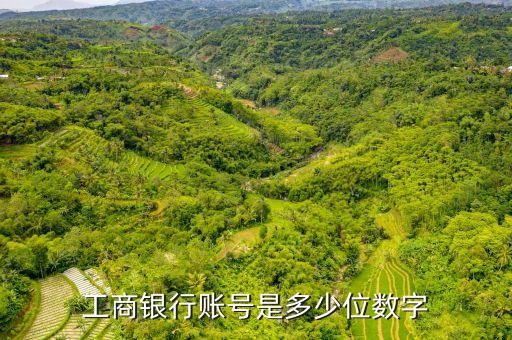 工商銀行賬號多少位，工商銀行卡號是幾位數