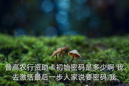 普高農(nóng)行資助卡初始密碼是多少啊 我去激活最后一步人家說要密碼 我