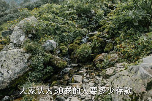 大家認(rèn)為30歲的人要多少存款