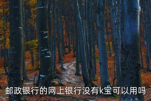 郵政銀行網(wǎng)上銀行用什么，郵政銀行的網(wǎng)上銀行沒有k寶可以用嗎