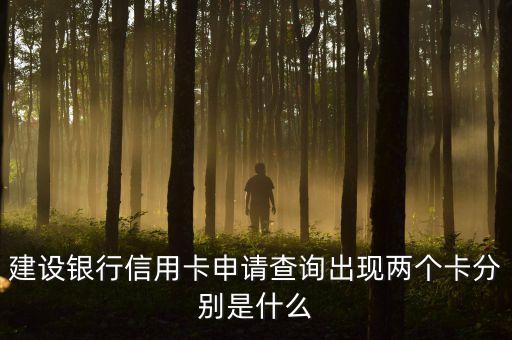 建行信用卡辦第二張是什么卡，建設銀行信用卡可以有幾張主卡是不是第一張卡申請的就算主卡