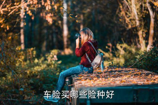 車險(xiǎn)買哪些險(xiǎn)種好