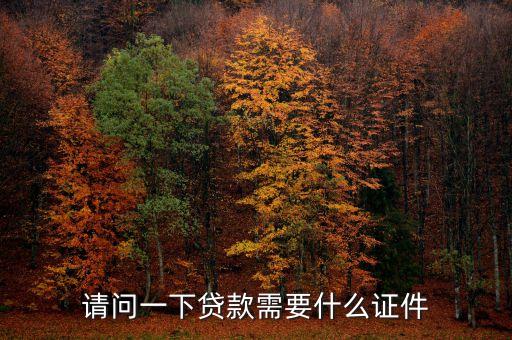 請問一下貸款需要什么證件
