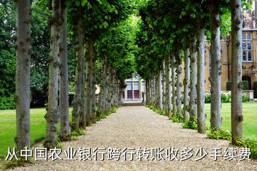 5萬塊轉(zhuǎn)賬要多少手續(xù)費多少，轉(zhuǎn)帳五萬塊錢手續(xù)大概要多少