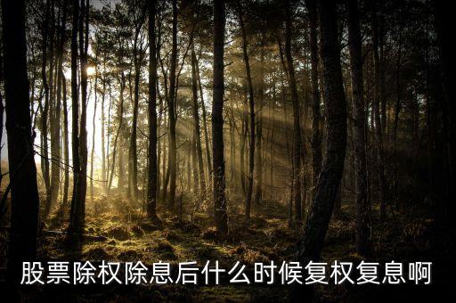 股票除權(quán)除息后什么時(shí)候復(fù)權(quán)復(fù)息啊