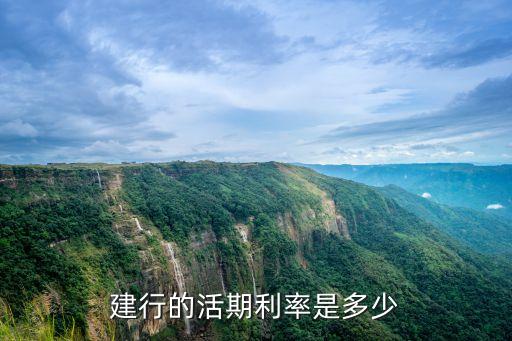 建行的活期利率是多少
