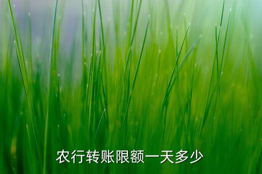 農(nóng)業(yè)銀行當(dāng)日支付限額多少，農(nóng)業(yè)銀行網(wǎng)上銀行買東西1天的限額是多少