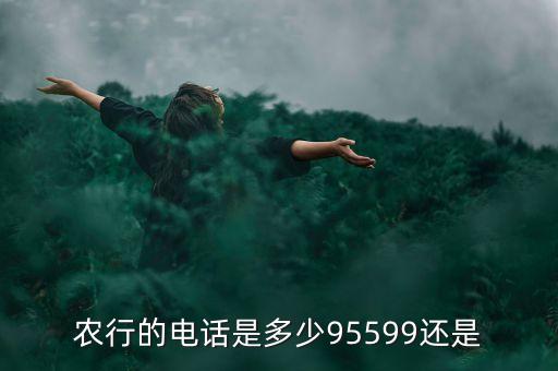 農(nóng)行的電話是多少95599還是