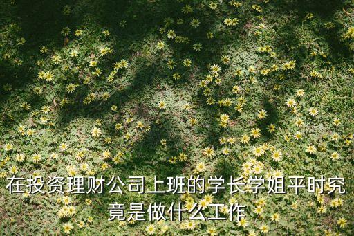 投資理財(cái)業(yè)務(wù)員做什么，請(qǐng)問社會(huì)上的一些投資理財(cái)公司里面的業(yè)務(wù)員是做什么的啊
