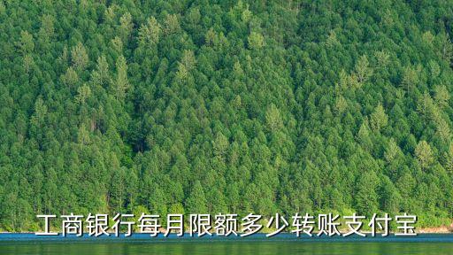 工商銀行每月限額多少轉(zhuǎn)賬支付寶