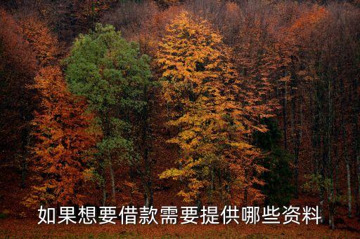 借貸款要什么證件，個(gè)人銀行貸款需要什么證件
