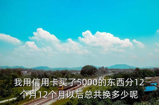 信用卡5000分12期每期還多少錢，我用信用卡買了5000的東西分12個(gè)月12個(gè)月以后總共換多少呢